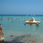 T Cyprus profile image