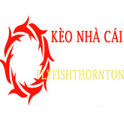 keonhacaiflyfish profile image