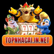 topnhacaiinnet profile image