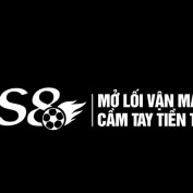 weels8com profile image