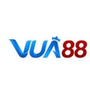 vua88network profile image
