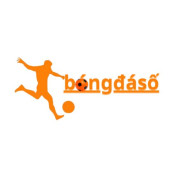 bongdasocv profile image