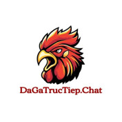 dagatructiepchat profile image
