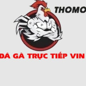 dagatructiepvin profile image