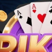 rik88nl1 profile image