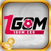 gom1ceo profile image