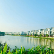 belhomeshaiphong profile image