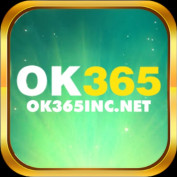 ok365incnet profile image