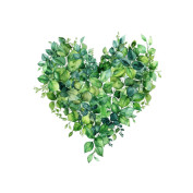 Tranquilheart profile image