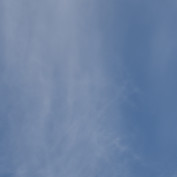 RaintreeAnnie profile image