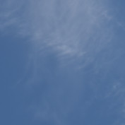 raintree profile image