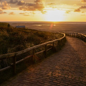 thomasgregorybalkins profile image