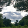 IrisUnveiled profile image