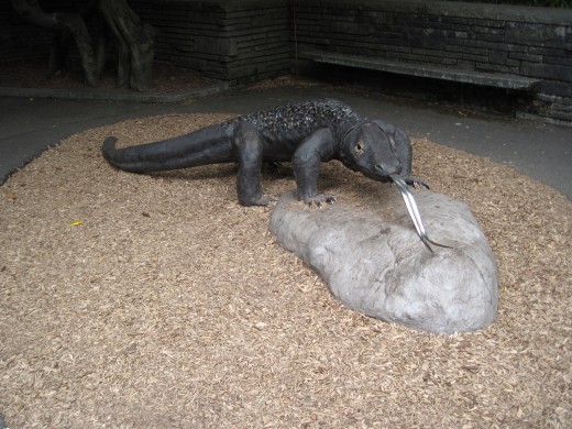 Life size sculpture of Komodo Dragon at Woodland Park Zoo in Seattle, Washington