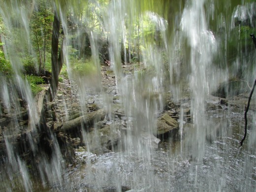 View of the creek from behind Lower Tews Falls.