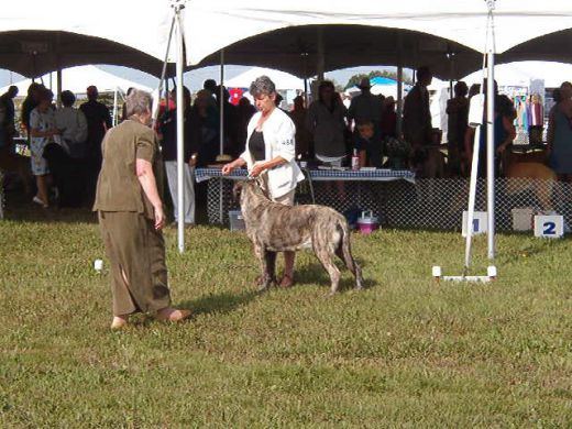 Me at work. We start training as puppies for this sport. Don't I look good?
