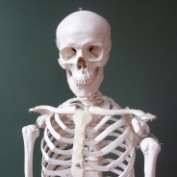 HalloweenDiscount profile image