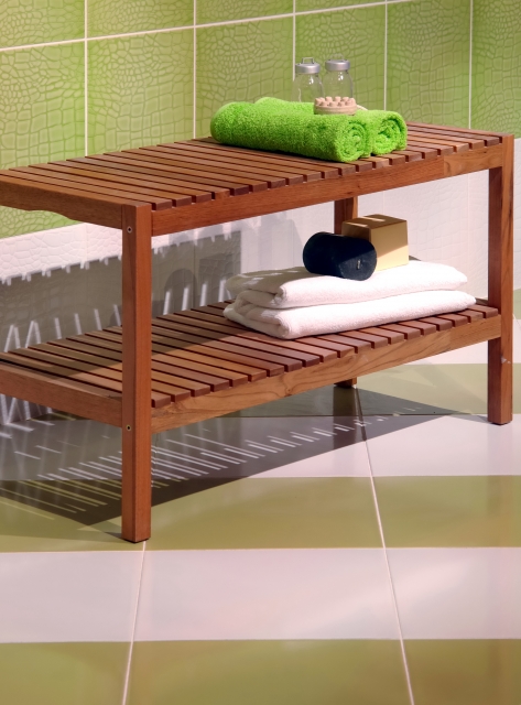 Mold-Free bathroom