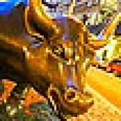 Amanda. profile image