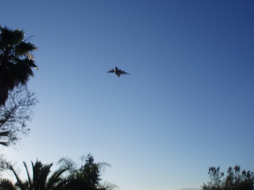 Fly baby, Fly