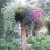 Some would say it is impossible to plant a tree upside down Some would say it is impossible to plant a tree upside down