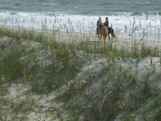 Ride horses on your Amelia Island vacation.
