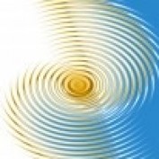 portal43 profile image