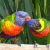 1travel profile image