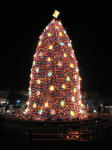 Here is the National Christmas tree. It is decorated entirely in LED Christmas lights.