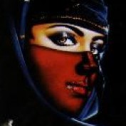 Roseate profile image