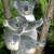 The cuddly mother koala with her koala toddler hehehe... The cuddly mother koala with her koala toddler hehehe...