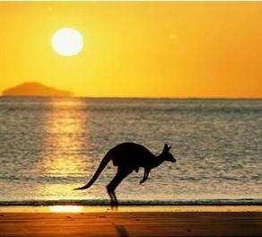 The kangaroo making his leap of faith hehehe... amid beautesque sunset.