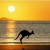 The kangaroo making his leap of faith hehehe... amid beautesque sunset. The kangaroo making his leap of faith hehehe... amid beautesque sunset.