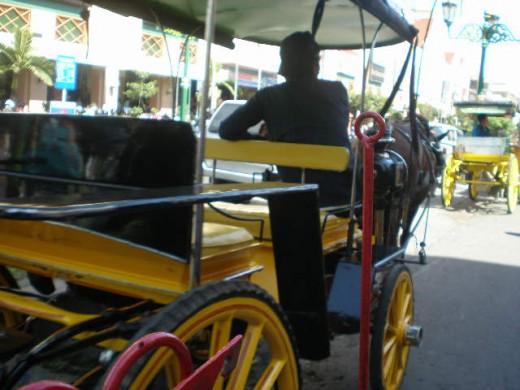 Andong, one of the most favorite transports in Yogjakarta.