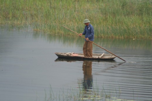 Boatman on Van Long Reserve
