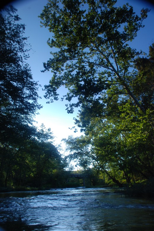 The uneven polarization can be seen in the blue of the sky. You can also see the edges of the filter in the upper left and right corners of this photo.