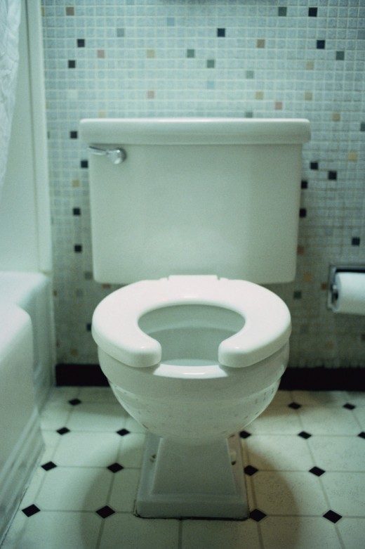 Is your toddler ready to use the toilet?