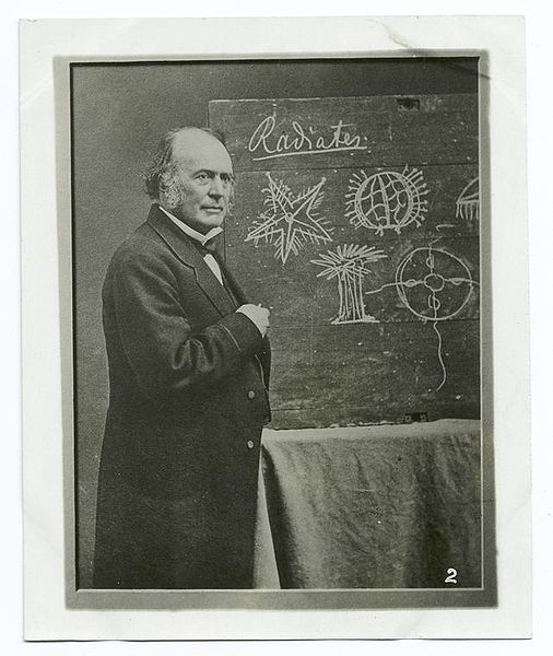 Chalkboard (Photo credit: Wikipedia Commons)