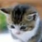 farhana profile image