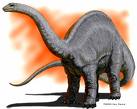 The Patosaurus: once called a brontosaurus.  If we could only go back in time and see these creatures grazing in huge flocks.  image by psychosaurus.com