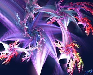 Fractal flowers