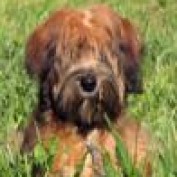 David F. Mason profile image
