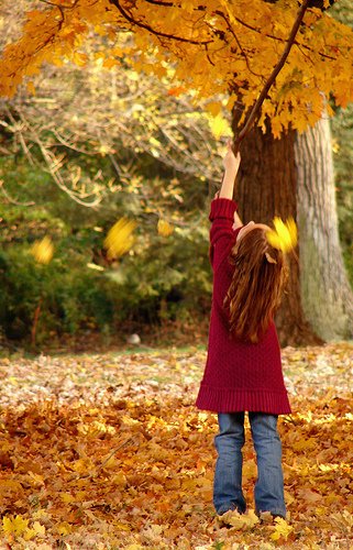 Your kids will enjoy going on a leaf hunt. Photo by surplusparts on Flikr