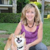 petinsurance101 profile image