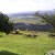 Look at nature at a glance..... mmh breathtakingly beautiful Look at nature at a glance..... mmh breathtakingly beautiful
