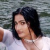 raghu9 profile image