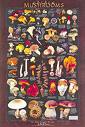 Chart of wild fungi.  by chartingnature.com  See how many there are?  And this is just a sample..