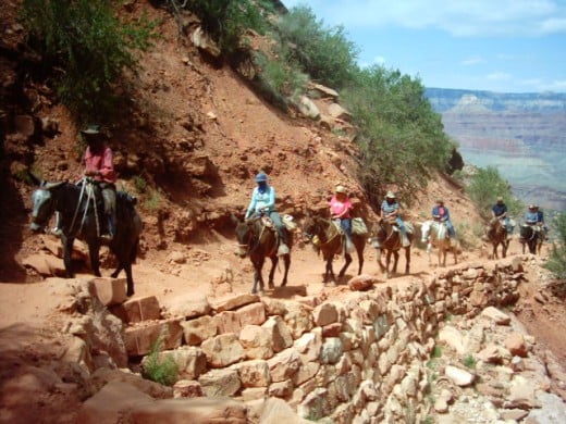 Grand Canyon Limousine~on Bright Angel Trail