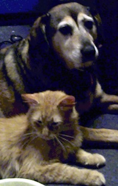 Danka' and Clyde