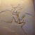 Archaeopteryx, the commonly accepted oldest known bird from the Jurassic Archaeopteryx, the commonly accepted oldest known bird from the Jurassic